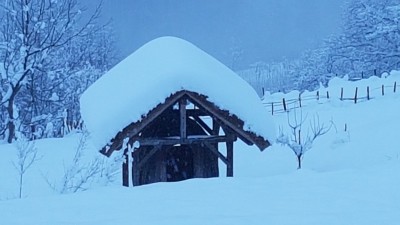 20180203_164456.jpg