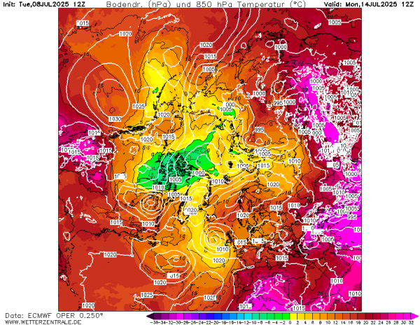 ECMOPNH12_144_2.png