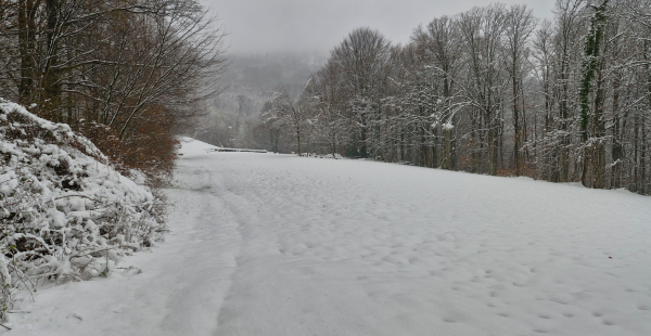 Posnetek zaslona 2026-03-18 113525.png