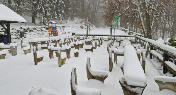 Posnetek zaslona 2026-03-18 113436.png