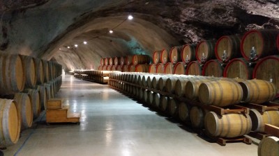 Vinska klet za srečanje foruma