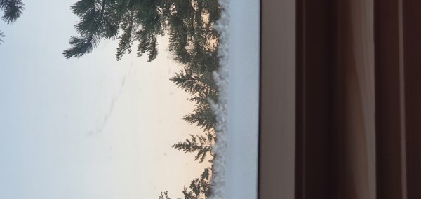 20211124_072219.jpg